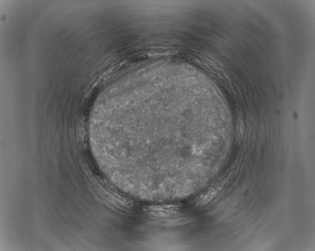 X0000067460367200605051628