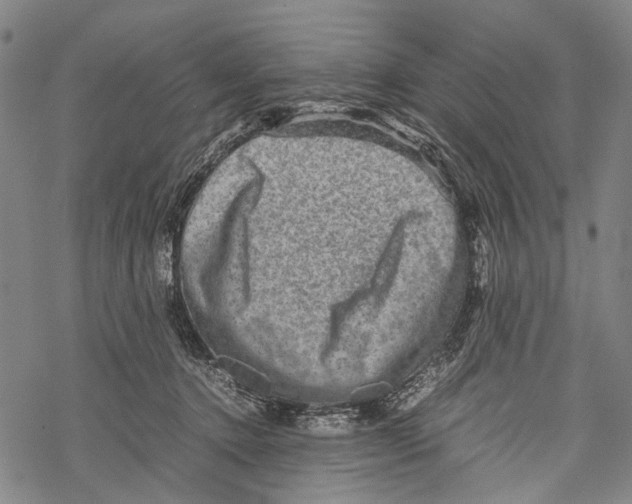 X0000067460368200605051628