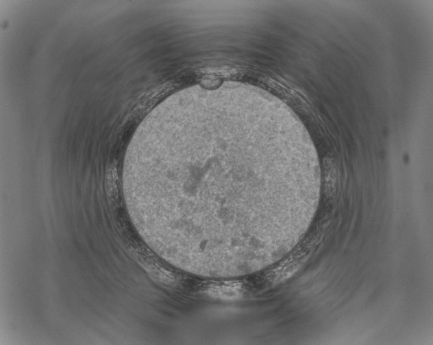 X0000067460369200605051628