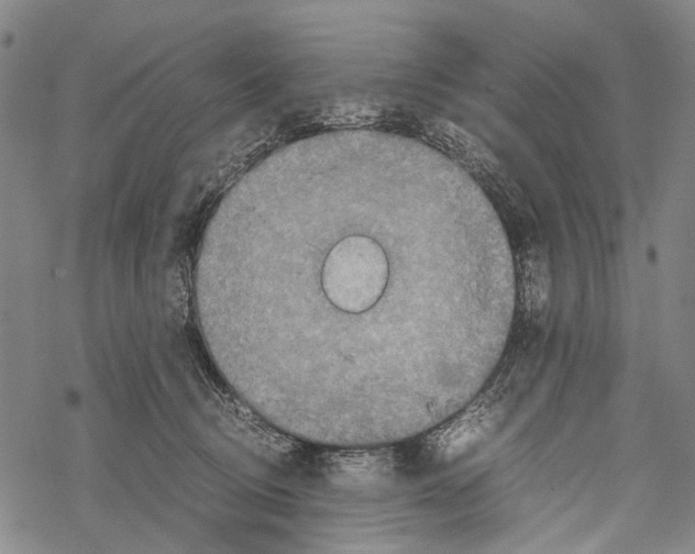 X0000067460370200605051628