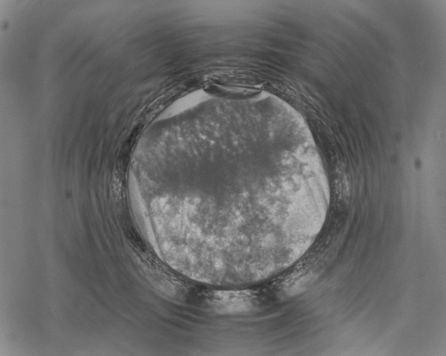 X0000067460371200605051628