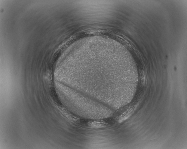 X0000067460372200605051628