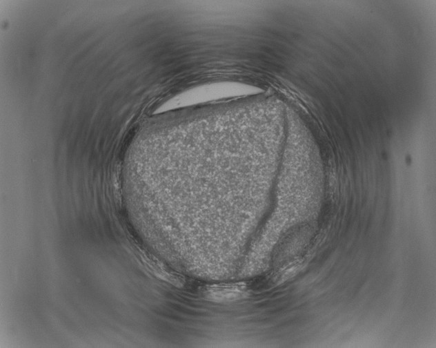 X0000067460373200605051628