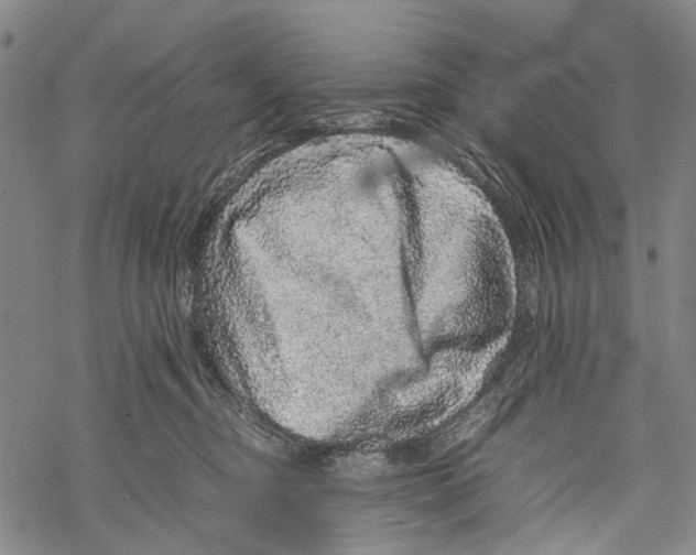 X0000067460374200605051628