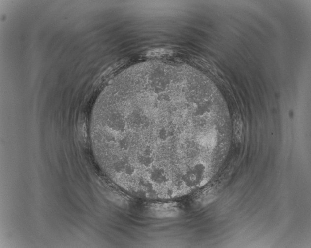 X0000067460375200605051628