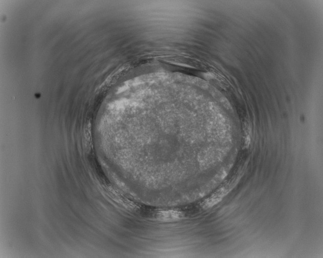 X0000067460376200605051628