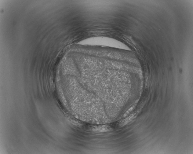 X0000067460377200605051628