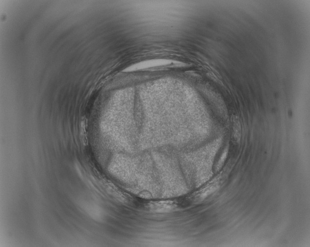 X0000067460378200605051628