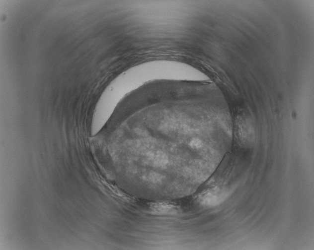 X0000067460380200605051628