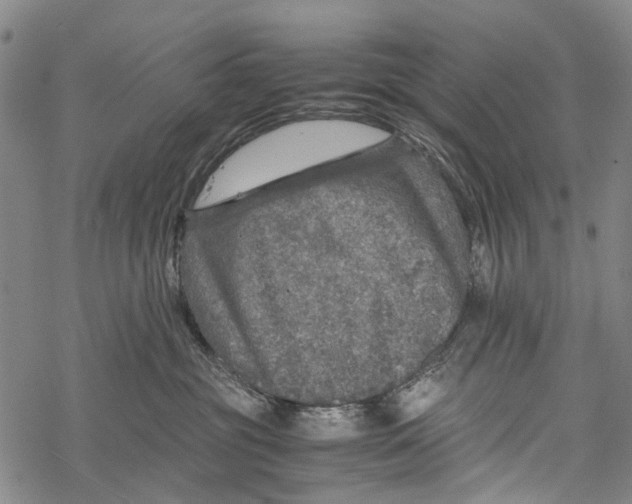 X0000067460381200605051628