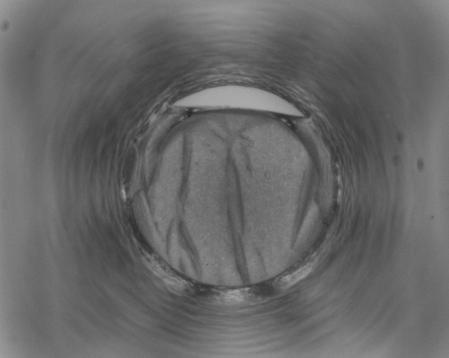 X0000067460382200605051628