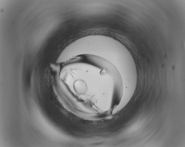 X0000067460383200605051628