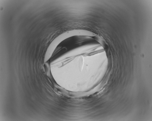 X0000067460384200605051628