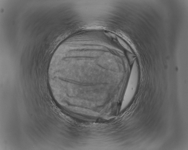 X0000067460385200605051627