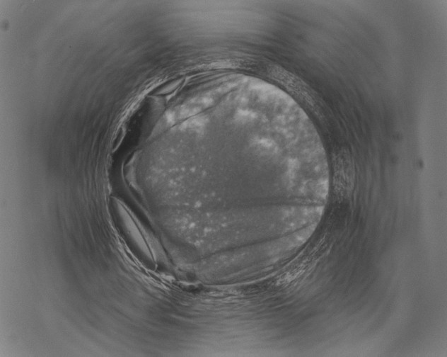 X0000067460386200605051627