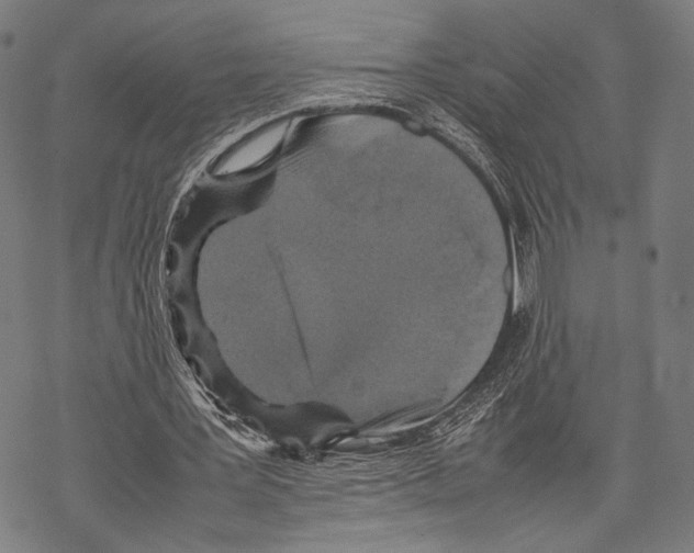 X0000067460387200605051627