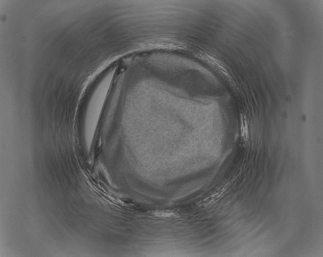 X0000067460388200605051627