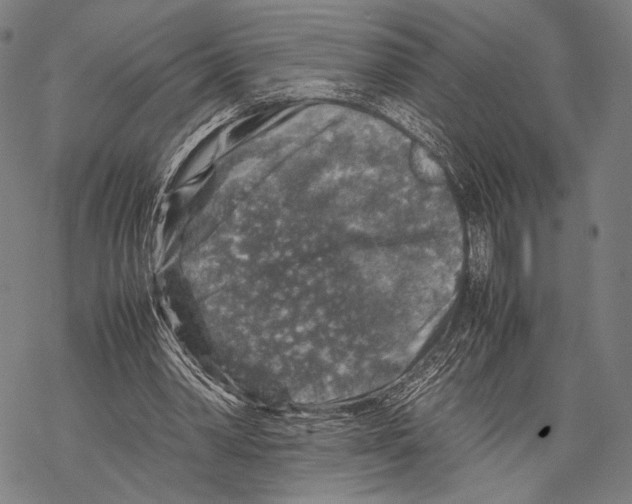 X0000067460390200605051627