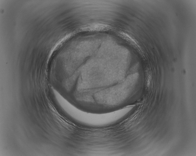 X0000067460392200605051627