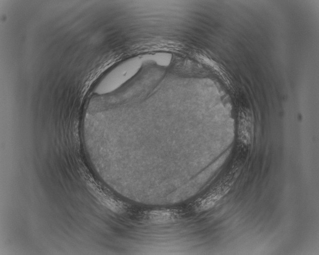 X0000067460394200605051627