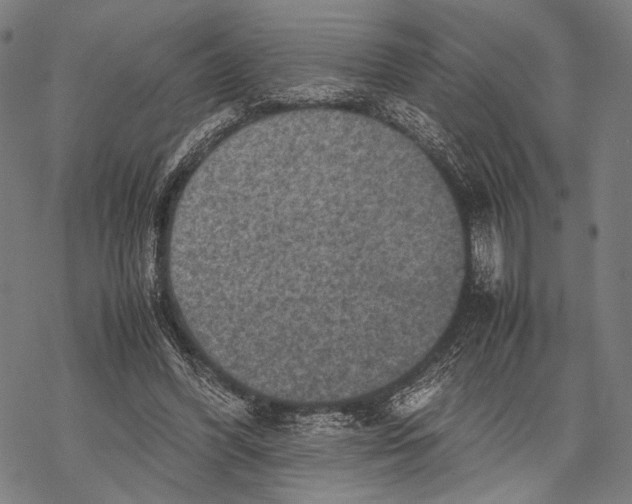 X0000067460396200605051627