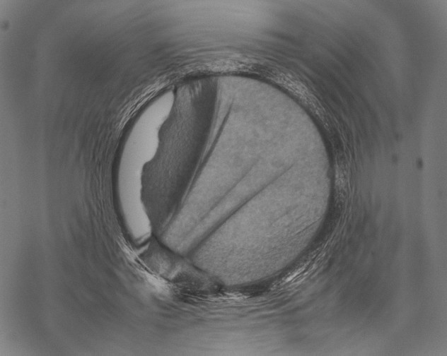 X0000067460397200605051627