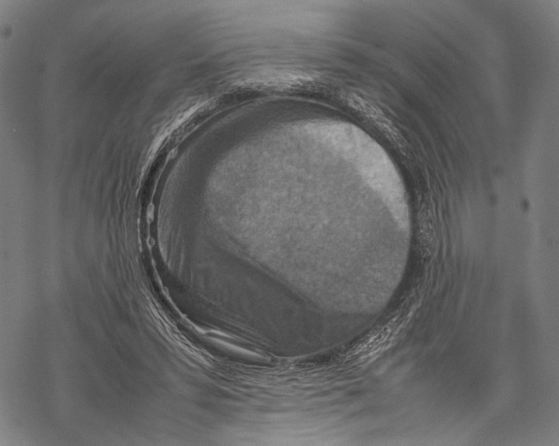 X0000067460399200605051627