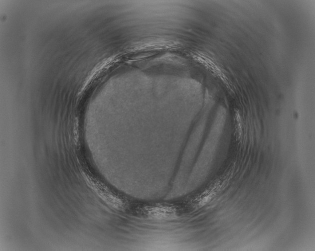 X0000067460400200605051627