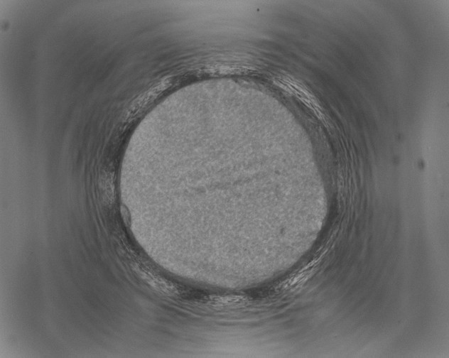 X0000067460401200605051627