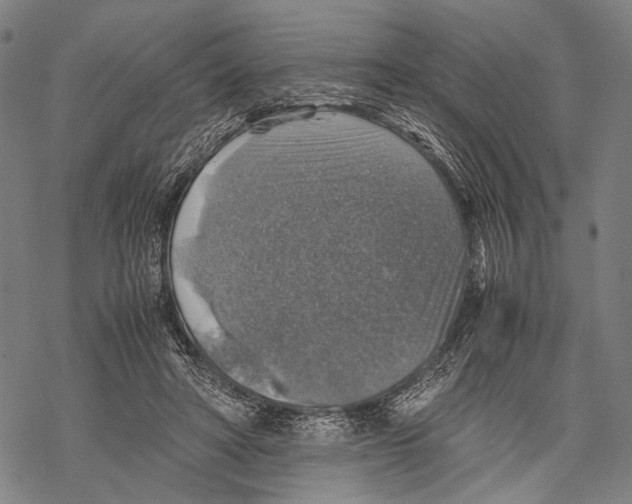 X0000067460402200605051627