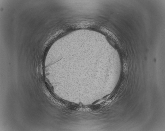 X0000067460403200605051627