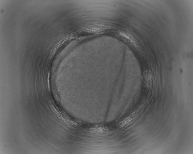 X0000067460404200605051627