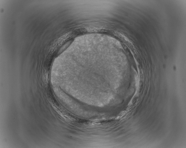 X0000067460405200605051627