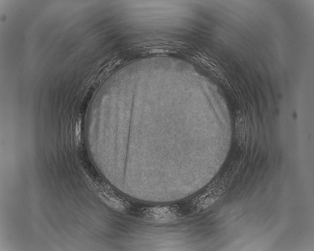 X0000067460406200605051627