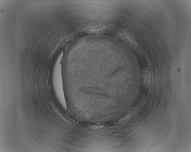 X0000067460408200605051627