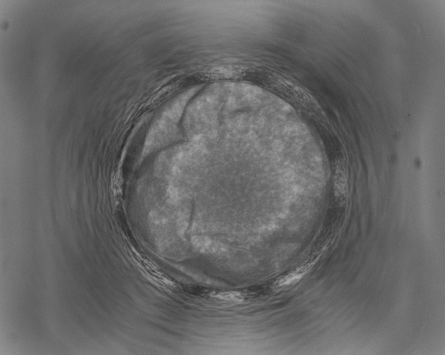 X0000067460409200605051627