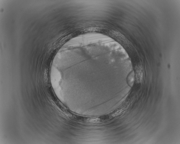 X0000067460410200605051627