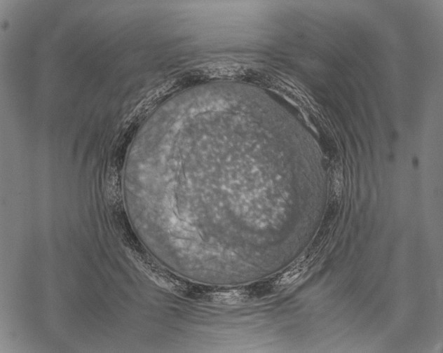 X0000067460411200605051627