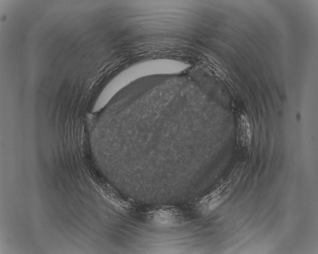 X0000067460412200605051627