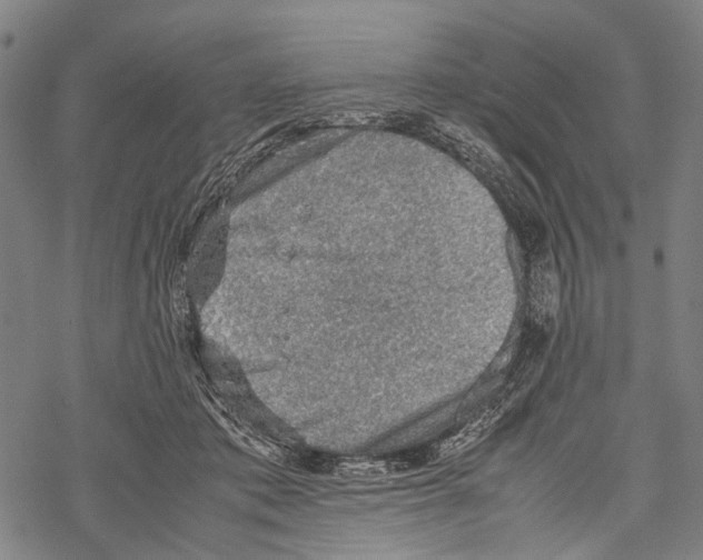 X0000067460413200605051627