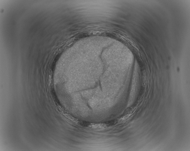 X0000067460417200605051627