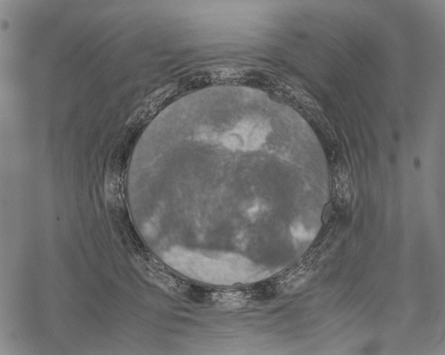 X0000067460419200605051627