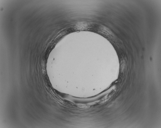 X0000067460421200605051626