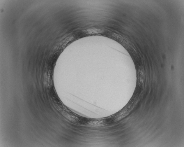 X0000067460422200605051626