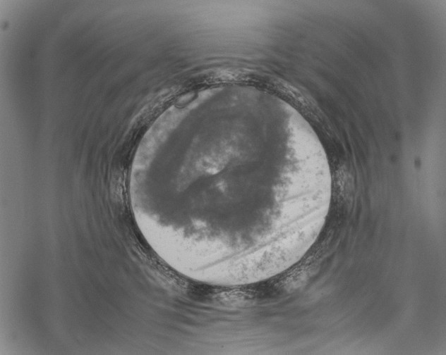 X0000067460423200605051626