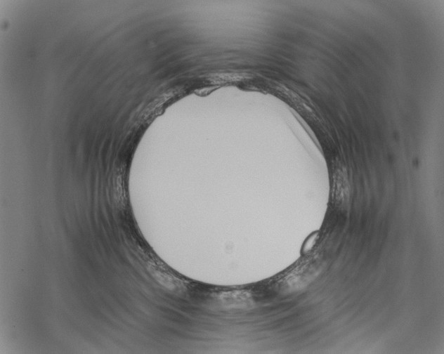 X0000067460426200605051626