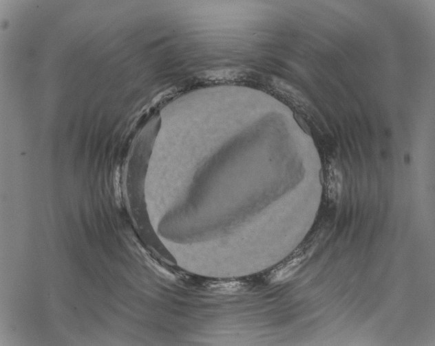 X0000067460428200605051626