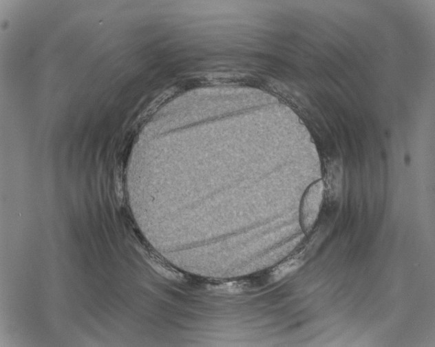 X0000067460430200605051626