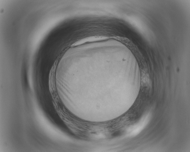 X0000067460431200605051626