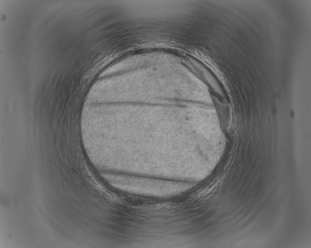 X0000067460433200605051625